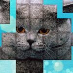 PicPu – Cat Puzzle